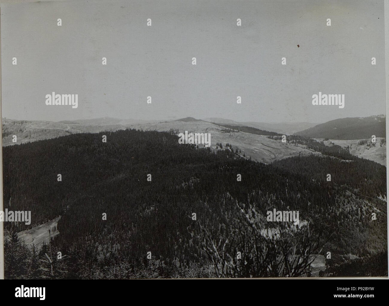 452 Panoramaaufnahme vom Dions.Beobachterstand auf Höhe 1384 (BildID 15453620) Stock Photo
