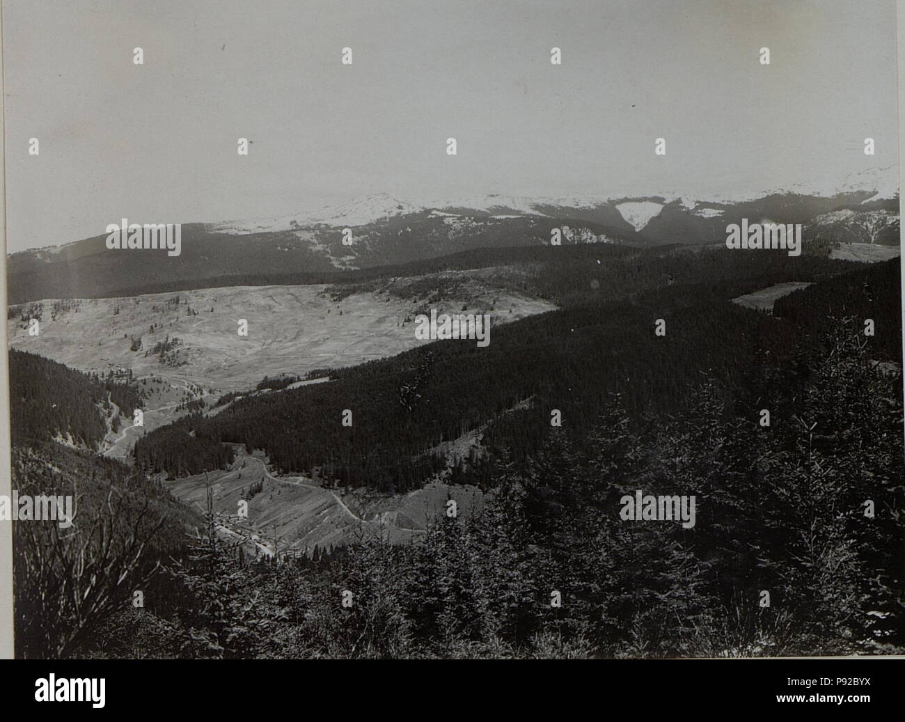 452 Panoramaaufnahme vom Dions.Beobachterstand auf Höhe 1384 (BildID 15453627) Stock Photo