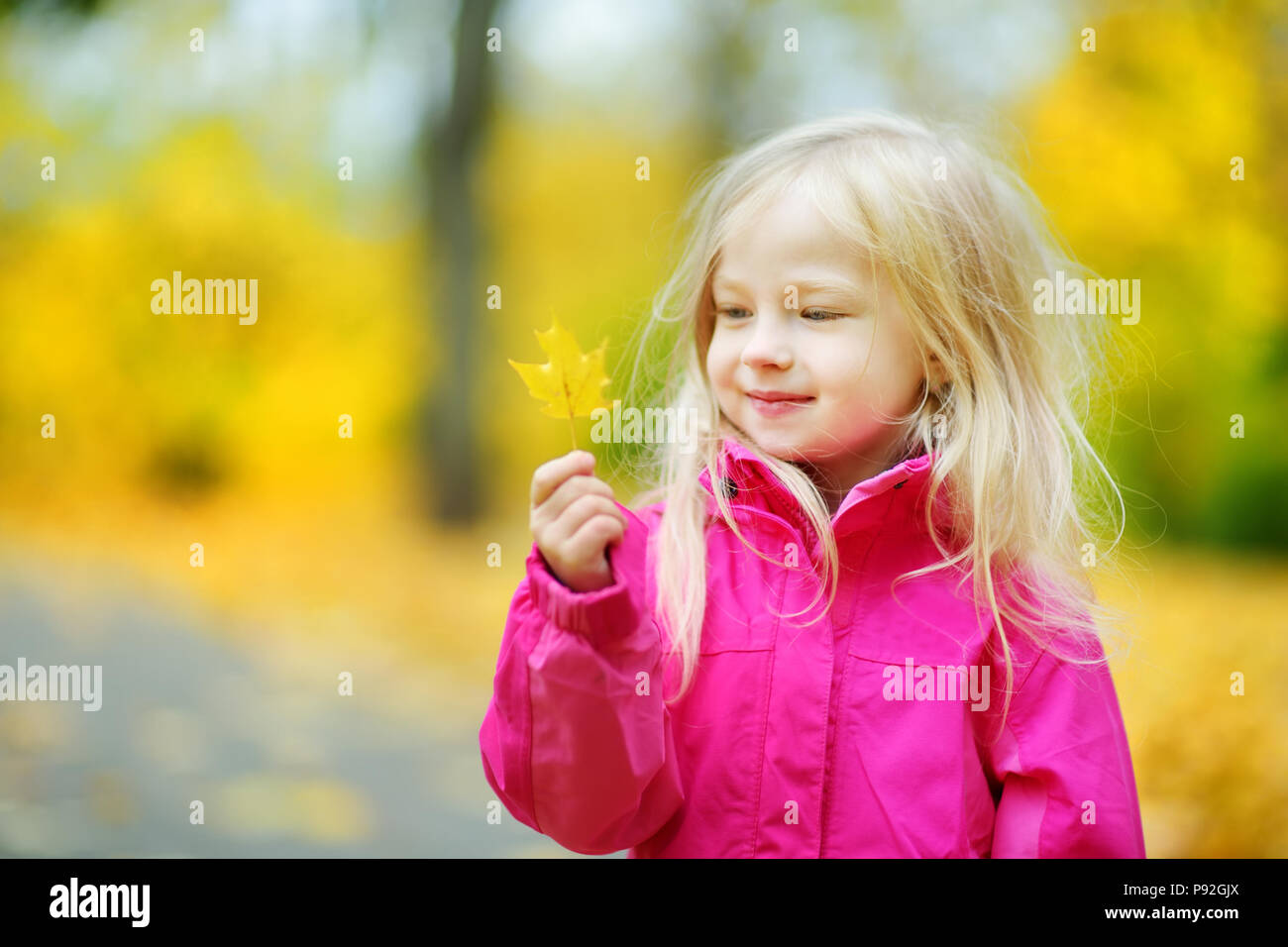 Cute little girl having fun on beautiful autumn day. Happy child ...