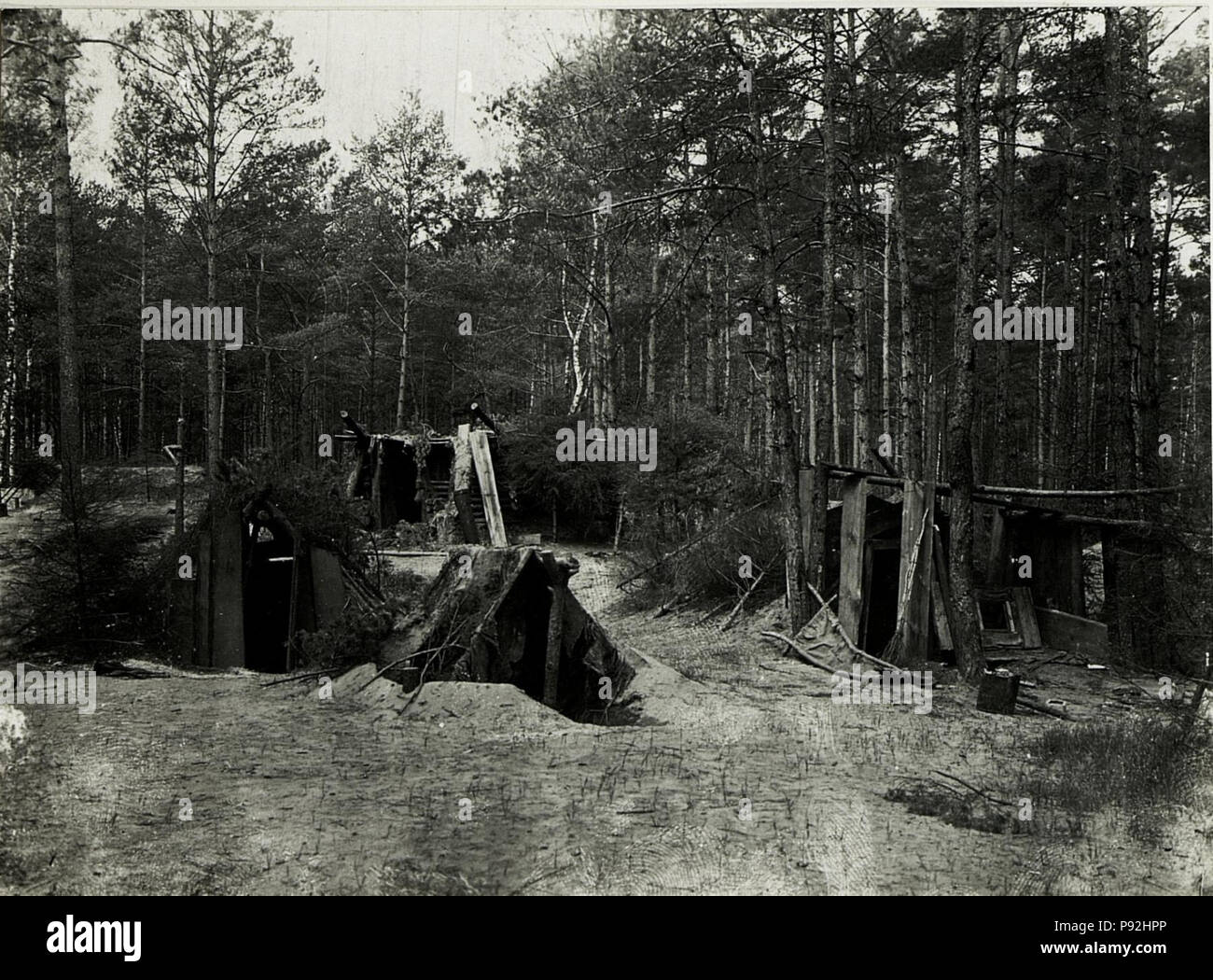 487 Russische Ruhestellung im Wald bei Falkòwska - Wòlka. (BildID 15590078) Stock Photo