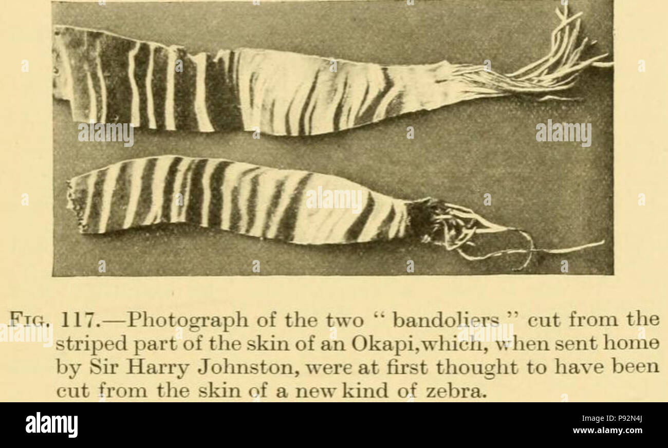 Sir harry johnston hires stock photography and images Alamy