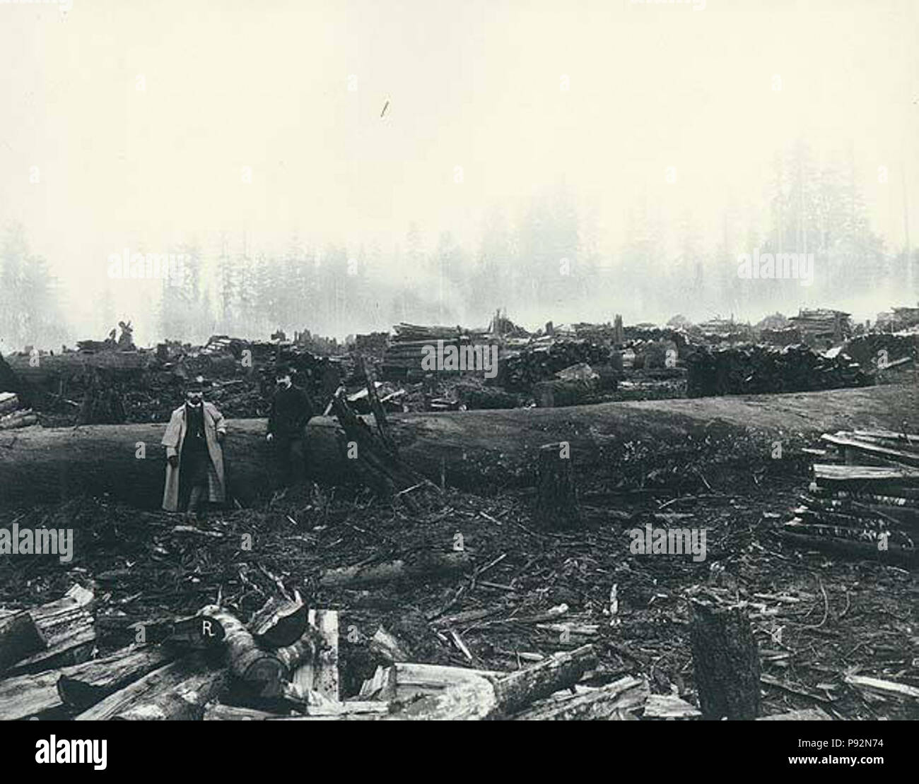 .   456 Pine St looking south from Pacific Ave, Everett, Washington, January 1892 (LAROCHE 42) Stock Photo
