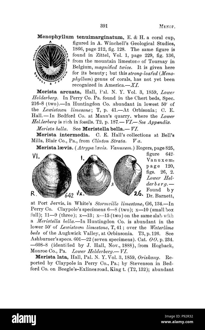 A dictionary of the fossils of Pennsylvania and neighboring states named in the reports and catalogues of the survey (Page 391) Stock Photo