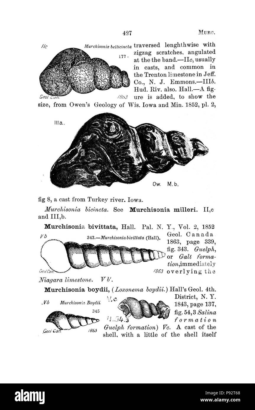 A dictionary of the fossils of Pennsylvania and neighboring states named in the reports and catalogues of the survey (Page 427) Stock Photo