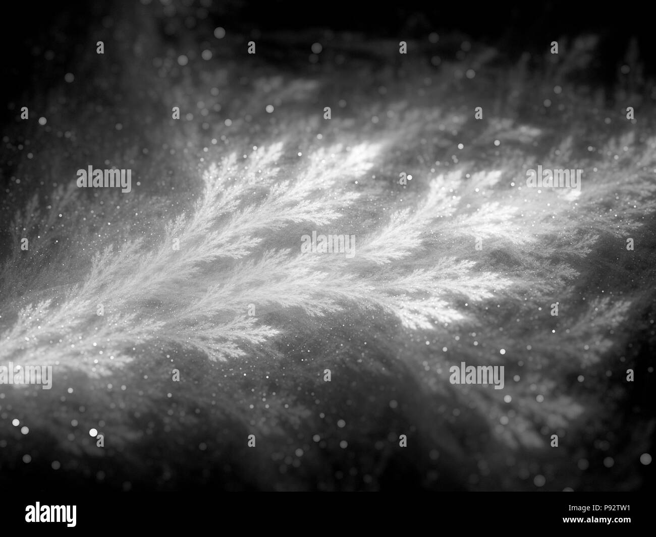 Spherical fractal branch , black and white intensity map, 3D rendering Stock Photo