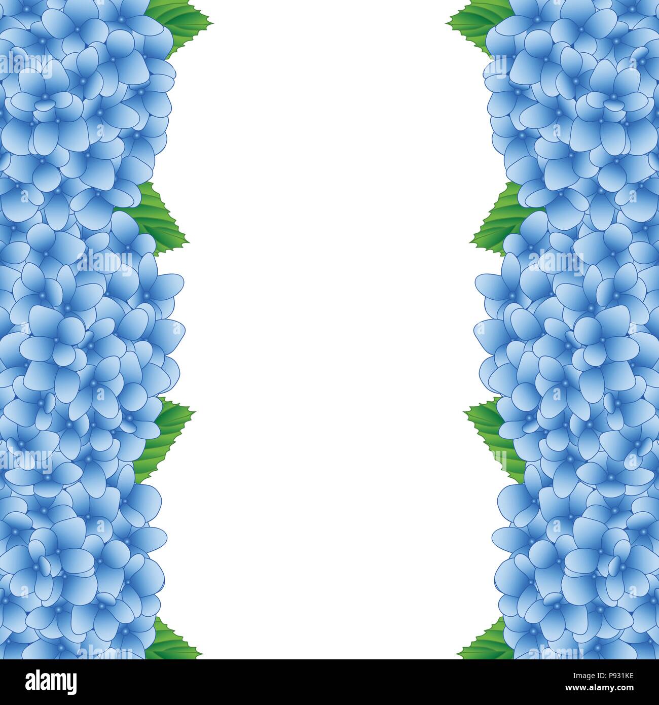 Blue Hydrangea Flower Border isolated on White Background. Vector