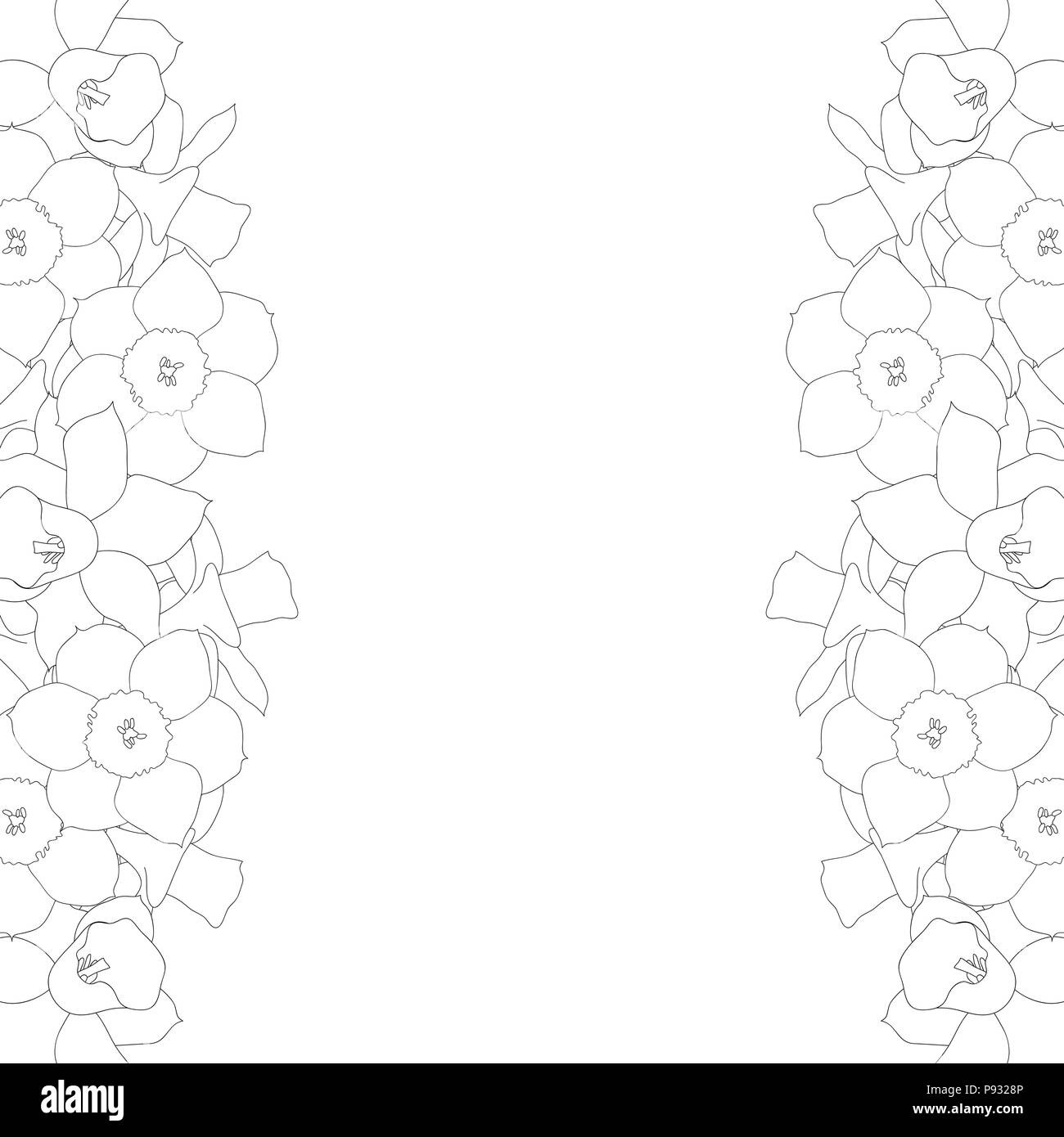 Daffodill - Narcissus Outline Border on White Background. Vector Illustration. Stock Vector