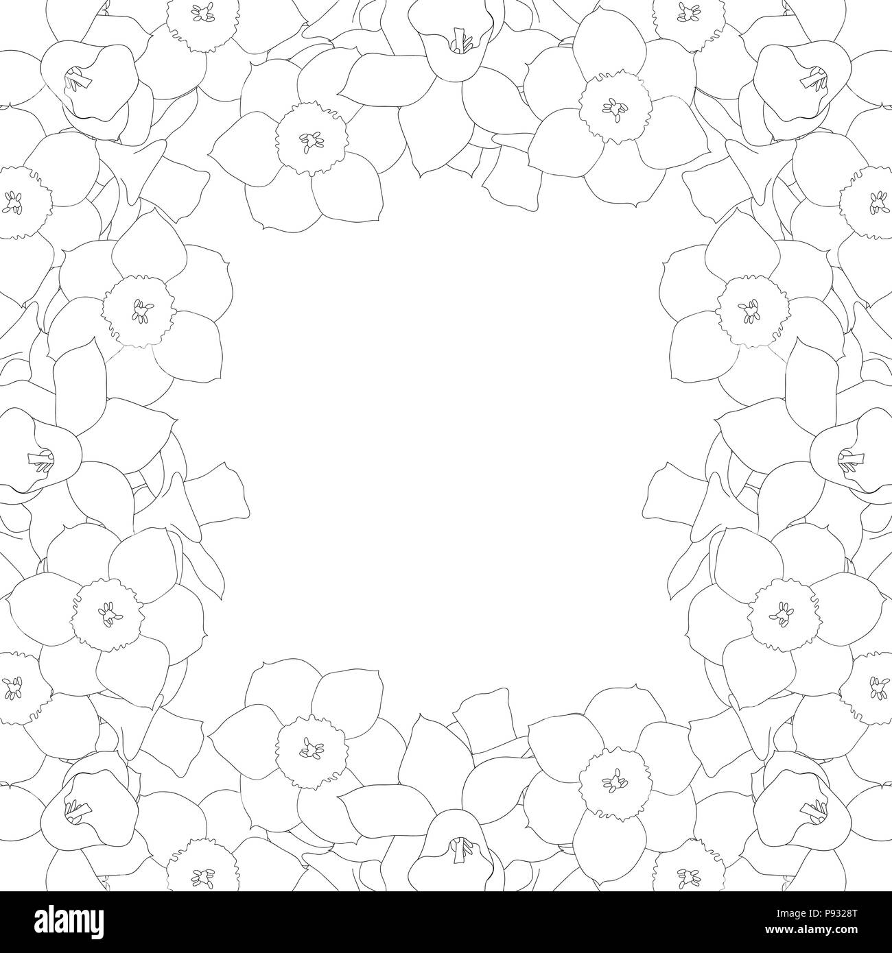 Daffodill - Narcissus Outline Border on White Background. Vector Illustration. Stock Vector