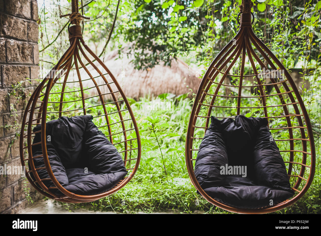 Two rattan hanging wicker chairs with black pillows in garden