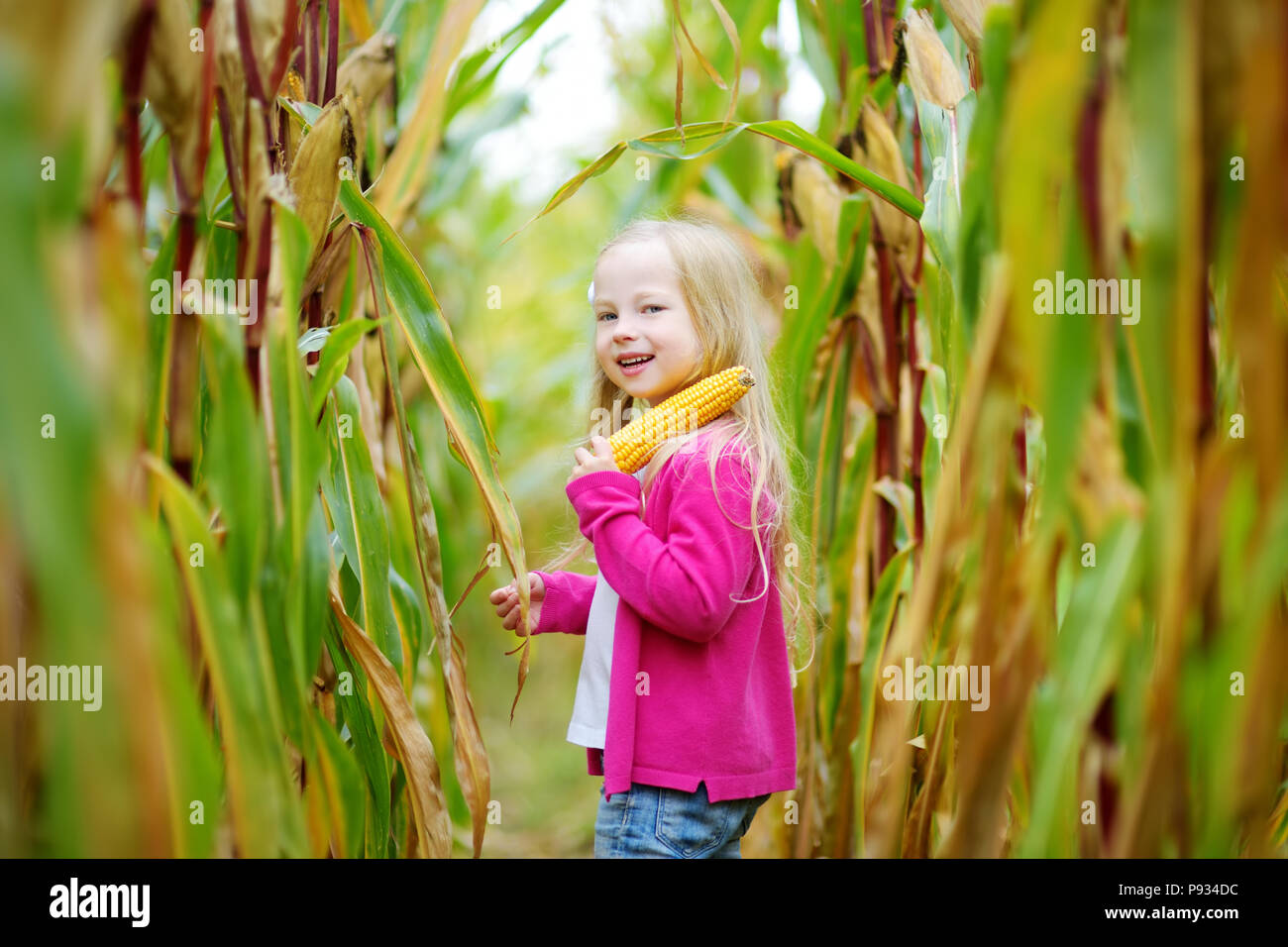 Adorable girl playing in a corn field on beautiful autumn day. Pretty ...