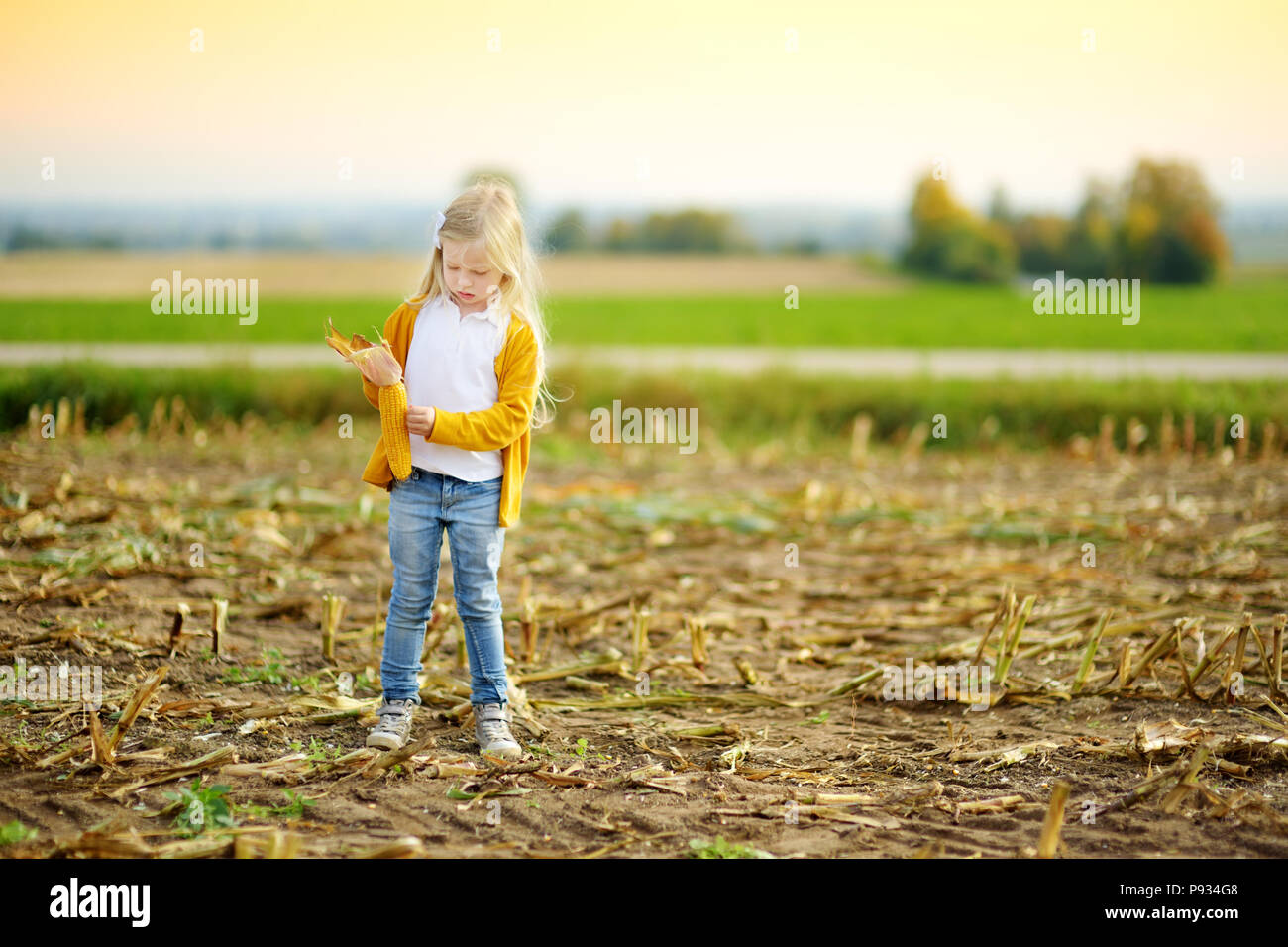 Adorable girl playing in a corn field on beautiful autumn day. Pretty ...