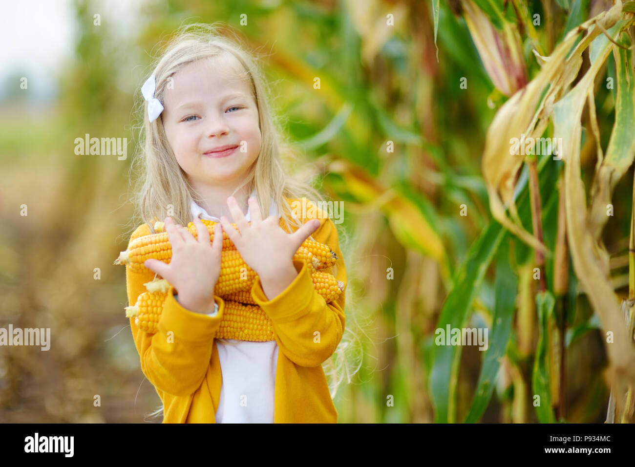 Adorable girl playing in a corn field on beautiful autumn day. Pretty ...
