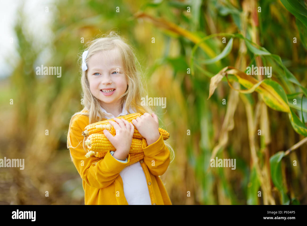 Adorable girl playing in a corn field on beautiful autumn day. Pretty ...