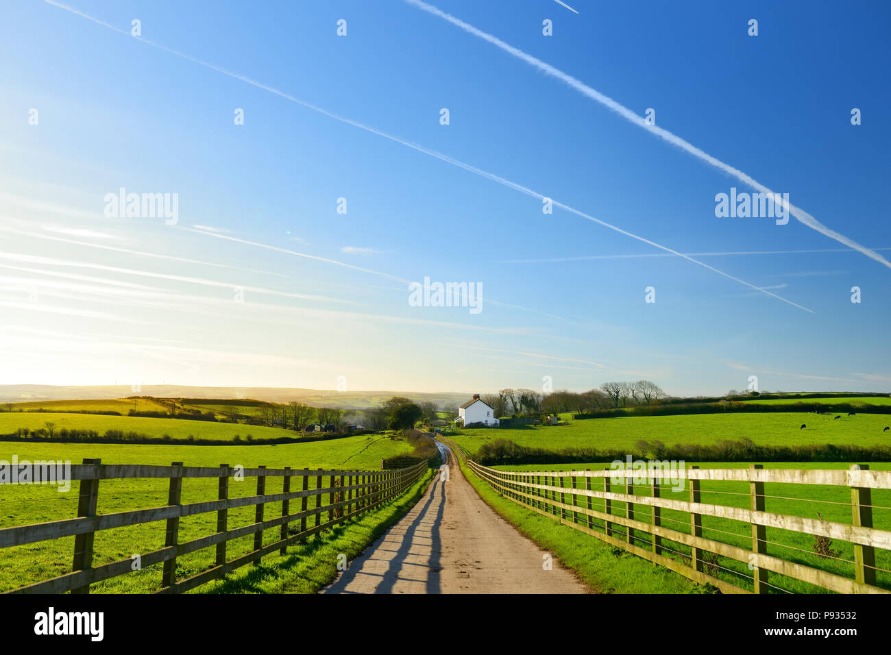 Wooden fence casting shadows on a road leading to small house between scenic Cornish fields under blue sky, Cornwall, England, UK Stock Photo