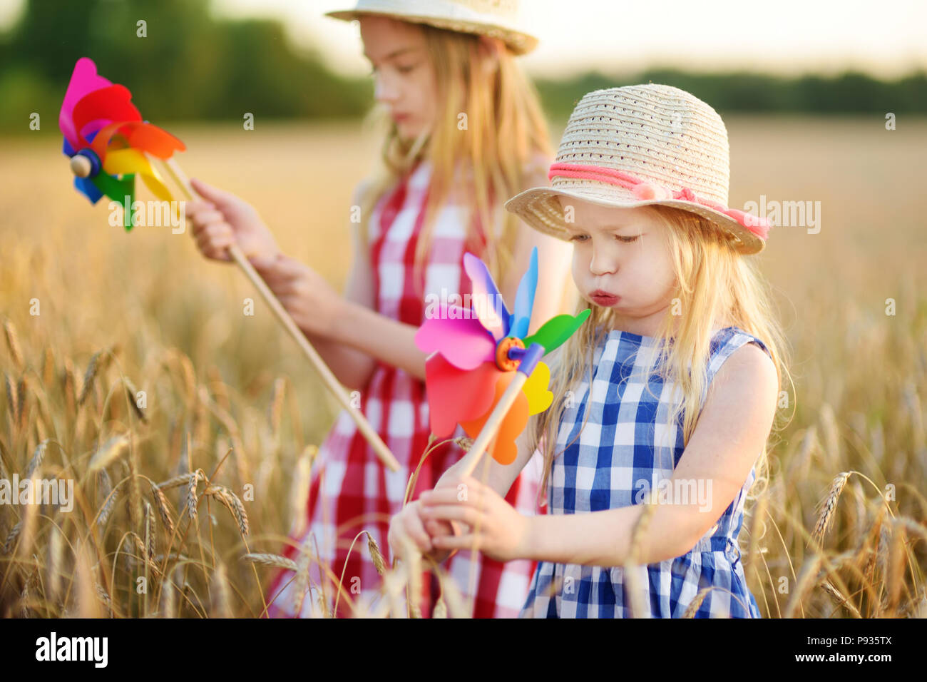 Adorable girls playing with colorful pinwheels in wheat field on warm ...