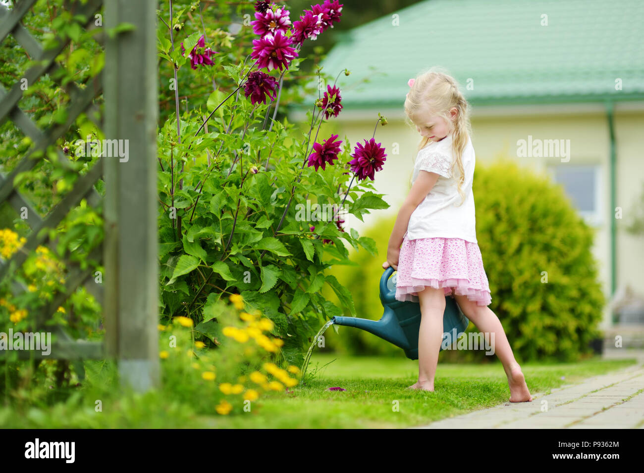 Cute little girl watering flowers in the garden at summer day. Child using garden hose on sunny day. Mommys little helper. Stock Photo