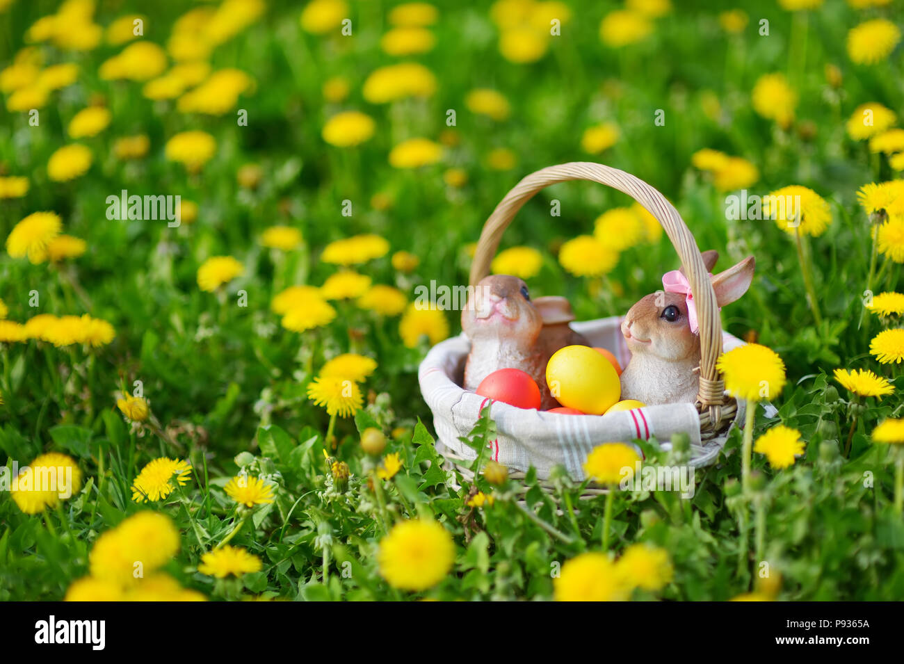 Colorful Easter eggs in a basket on a grass with two bunnies ...