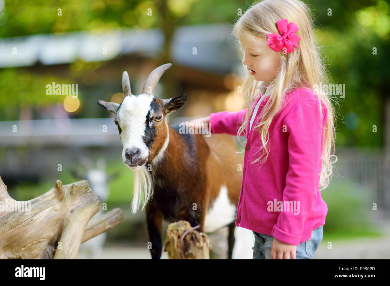 Cute little girl petting and feeding a goat at petting zoo. Child playing with a farm animal on sunny summer day. Kids interacting with animals Stock Photo - Alamy Cute little girl petting and feeding a goat at petting zoo. Child playing with a farm animal on sunny summer day. Kids interacting with animals Stock Photo - Alamy