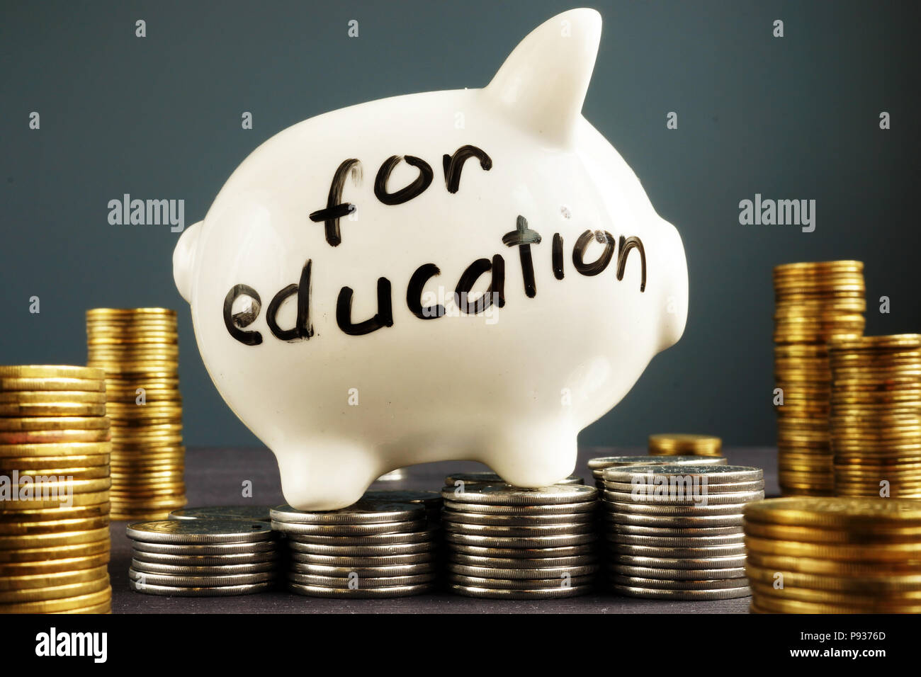 Money for education. Coins and piggy bank. Stock Photo