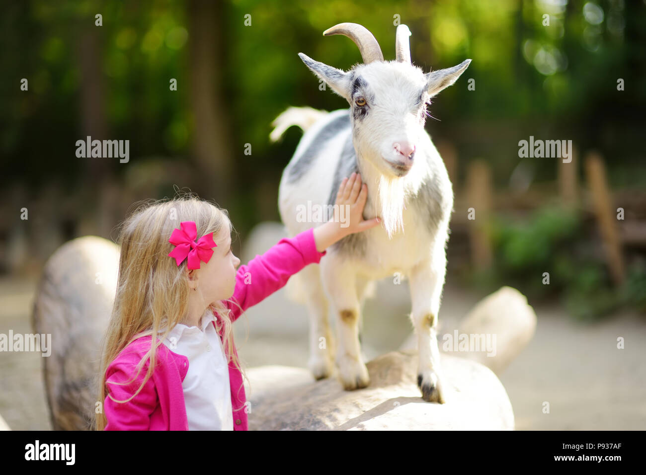 Cute Little Girl Petting And Feeding A Goat At Petting Zoo Child Playing With A Farm Animal On Sunny Summer Day Kids Interacting With Animals Stock Photo Alamy