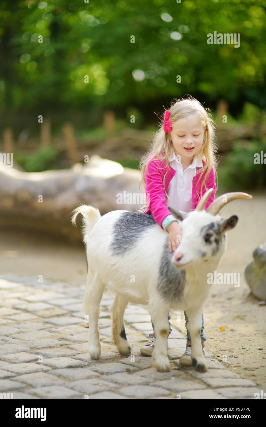 Cute little girl petting and feeding a goat at petting zoo. Child playing  with a farm animal on sunny summer day. Kids interacting with animals Stock  Photo - Alamy