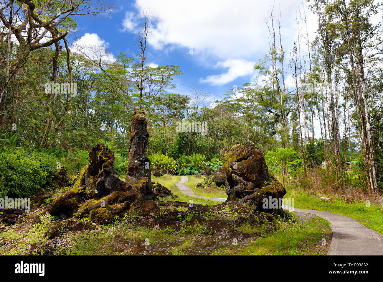 Tree Molds High Resolution Stock Photography and Images Alamy