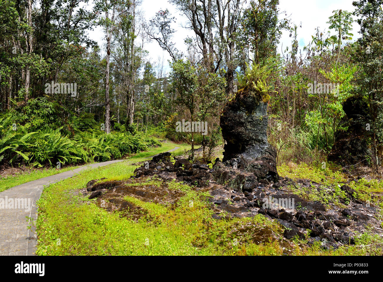 Lava molds of the tree trunks that were formed when a lava flow swept