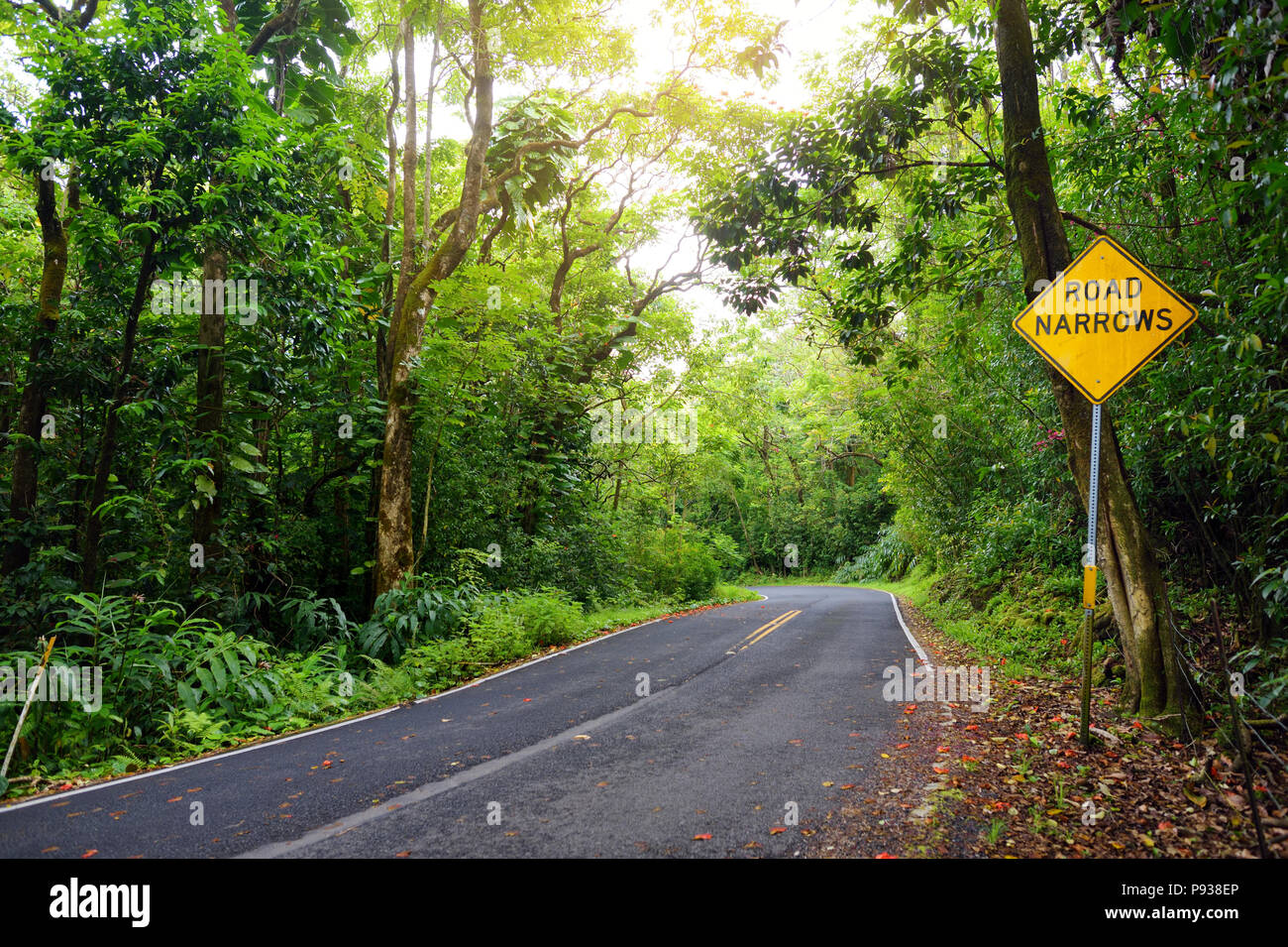 Famous Road to Hana fraught with narrow one-lane bridges, hairpin turns and incredible island views, curvy coastal road with views of cliffs, beaches, Stock Photo