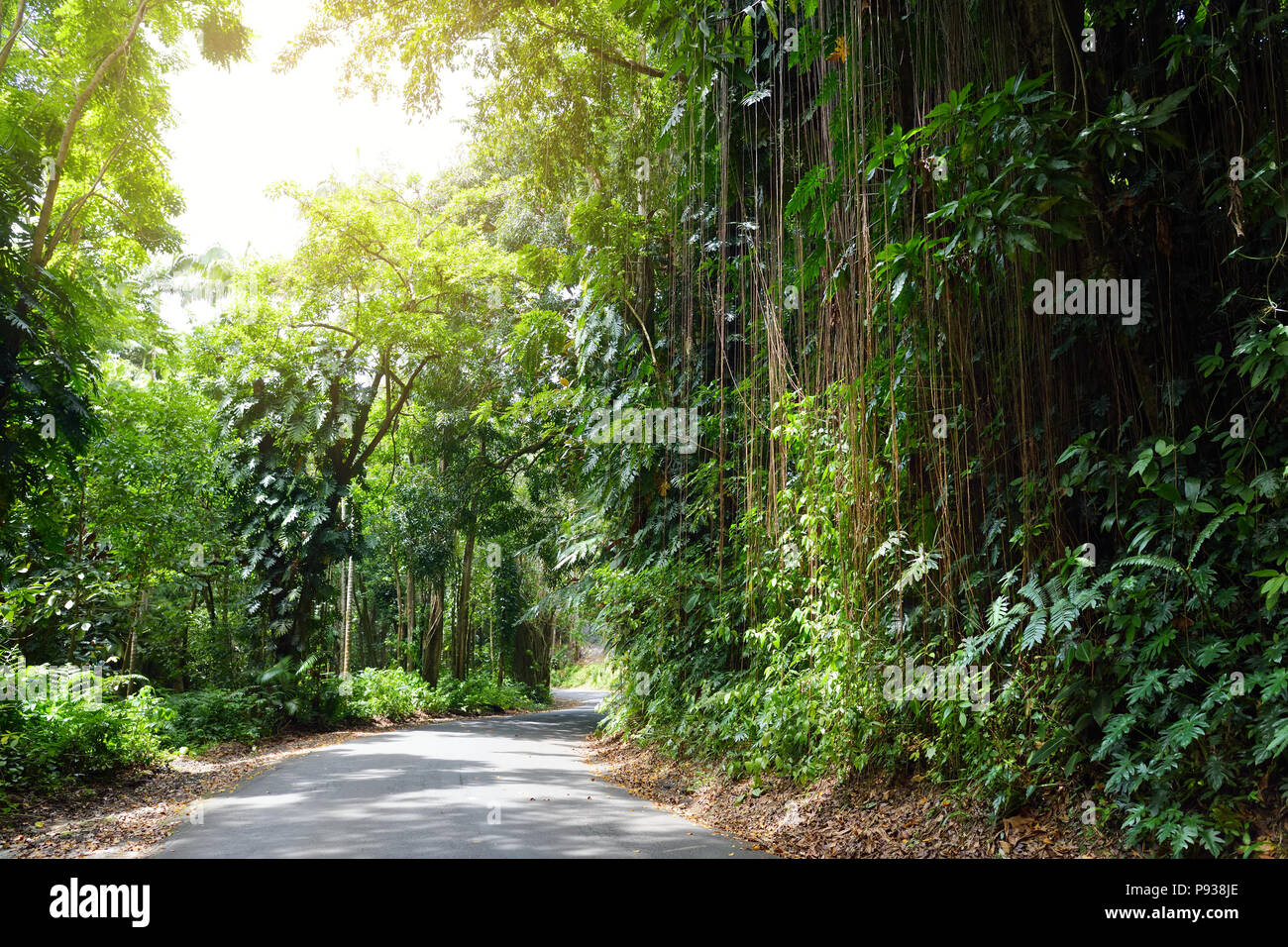 Famous Road to Hana fraught with narrow one-lane bridges, hairpin turns and incredible island views, curvy coastal road with views of cliffs, beaches, Stock Photo