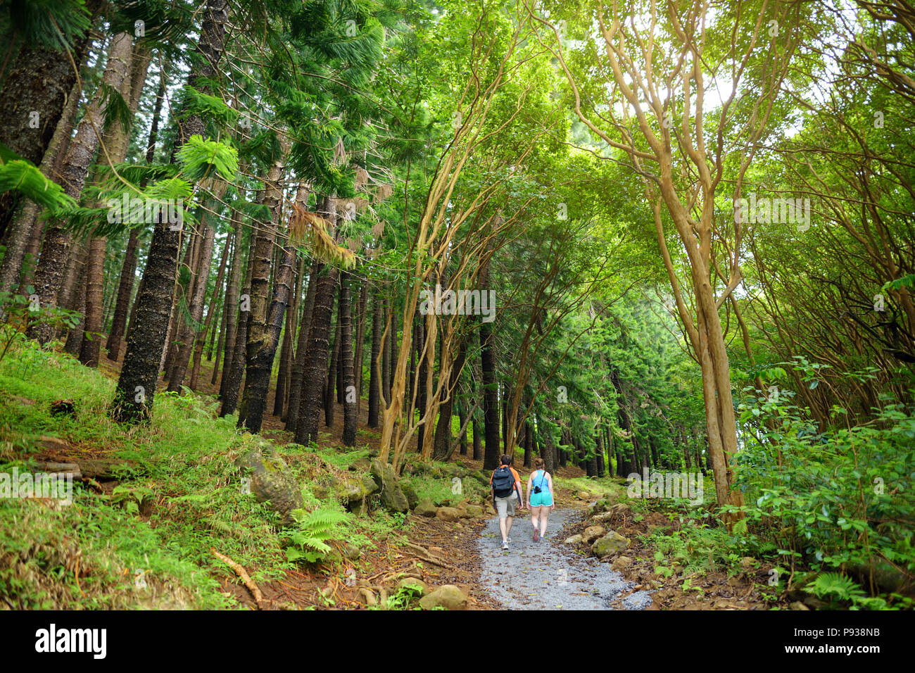 Stunning landscape view seen from Waihee Ridge Trail, Maui, Hawaii, USA Stock Photo