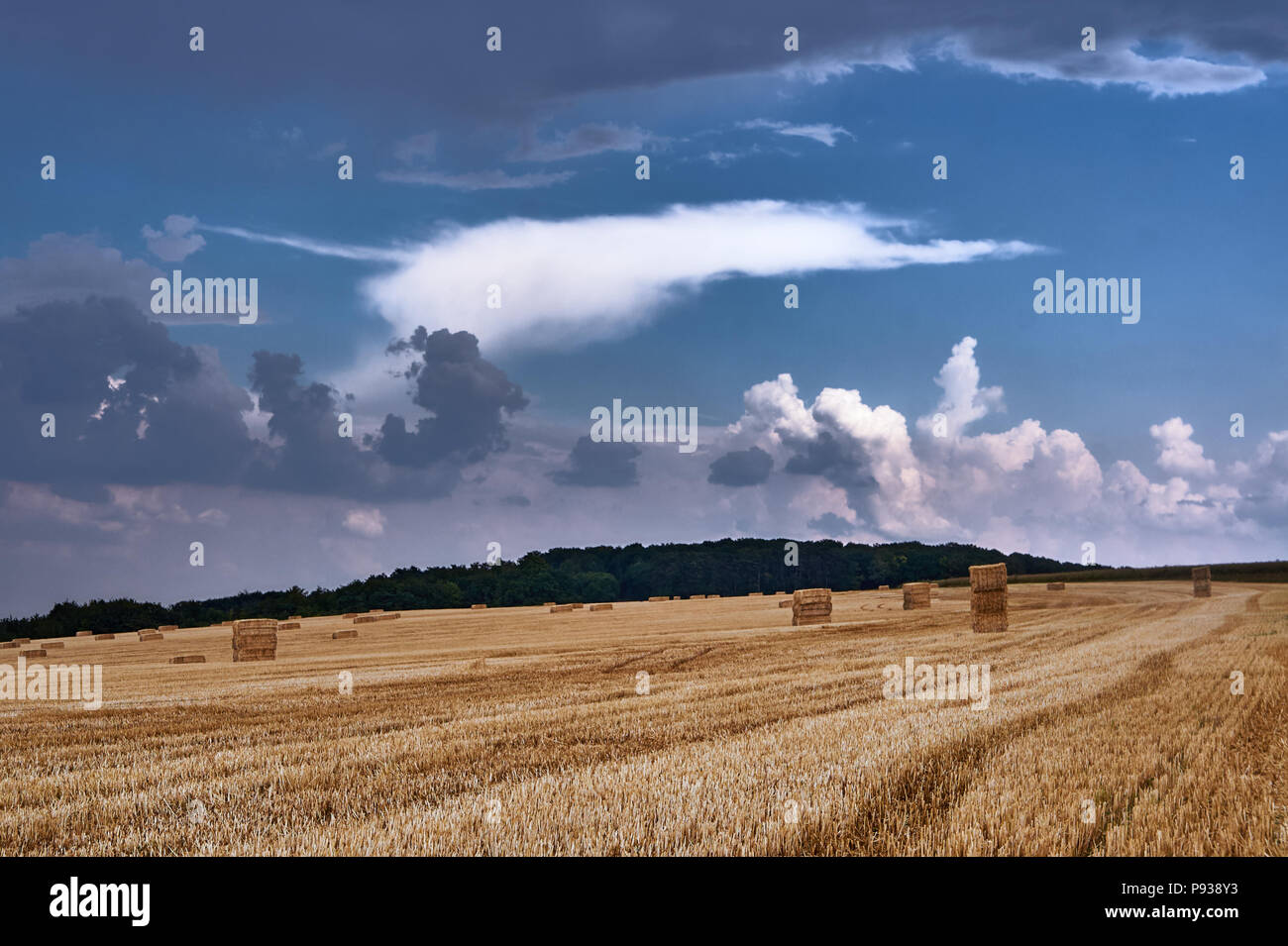 Country landscape in summer after the harvest in France Stock Photo - Alamy