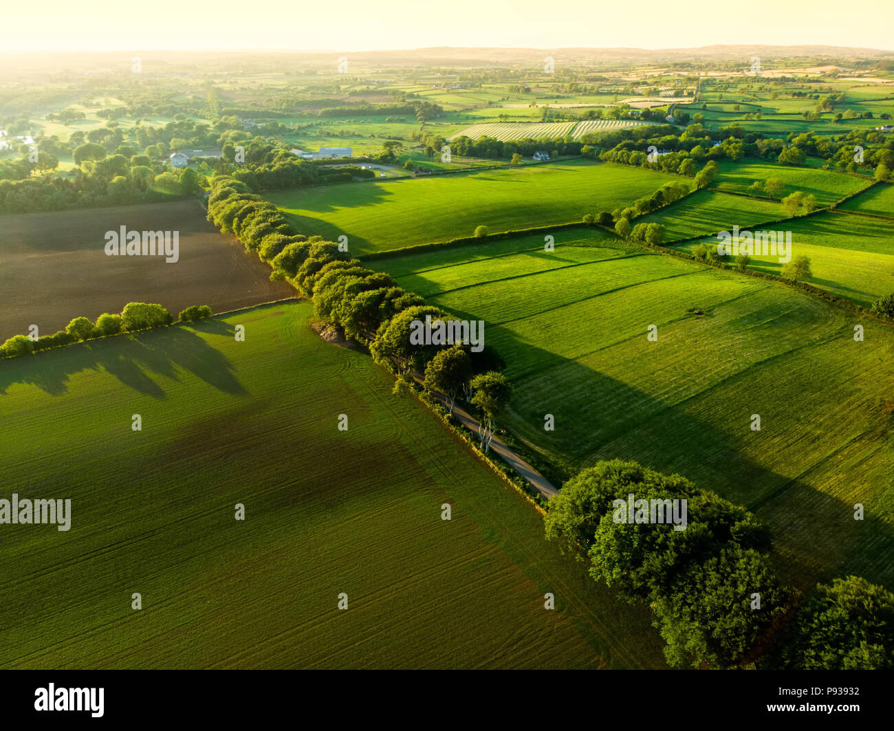 Aerial view of endless lush pastures and farmlands of Ireland ...