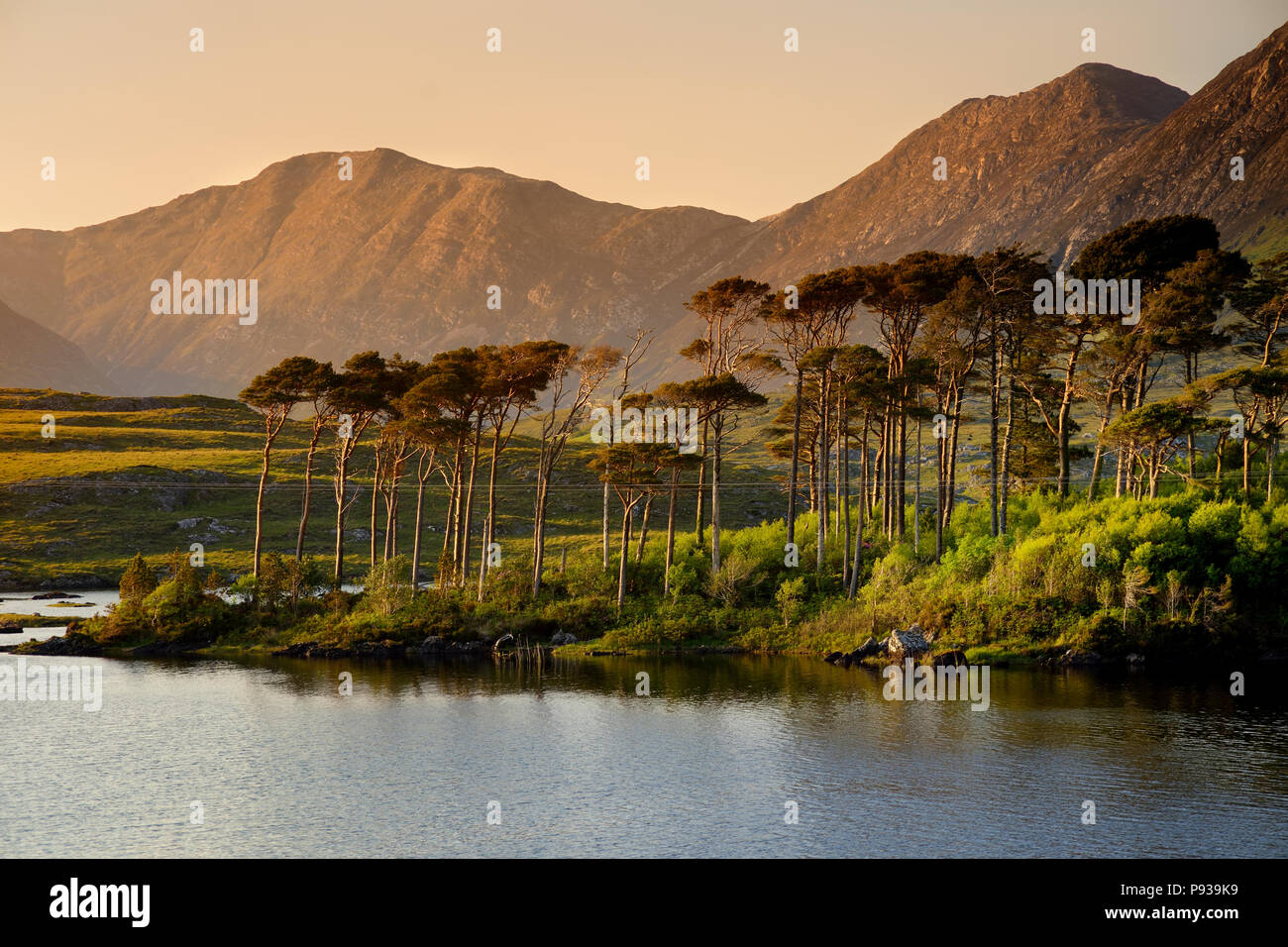 Twelve Pines Island Standing On A Gorgeous Background Formed By The twelve-pines-island-standing-on-a-gorgeous-background-formed-by-the
