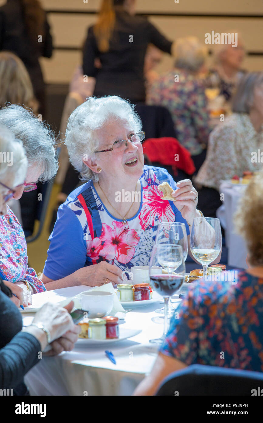 Elderly ladies having afternoon tea Stock Photo