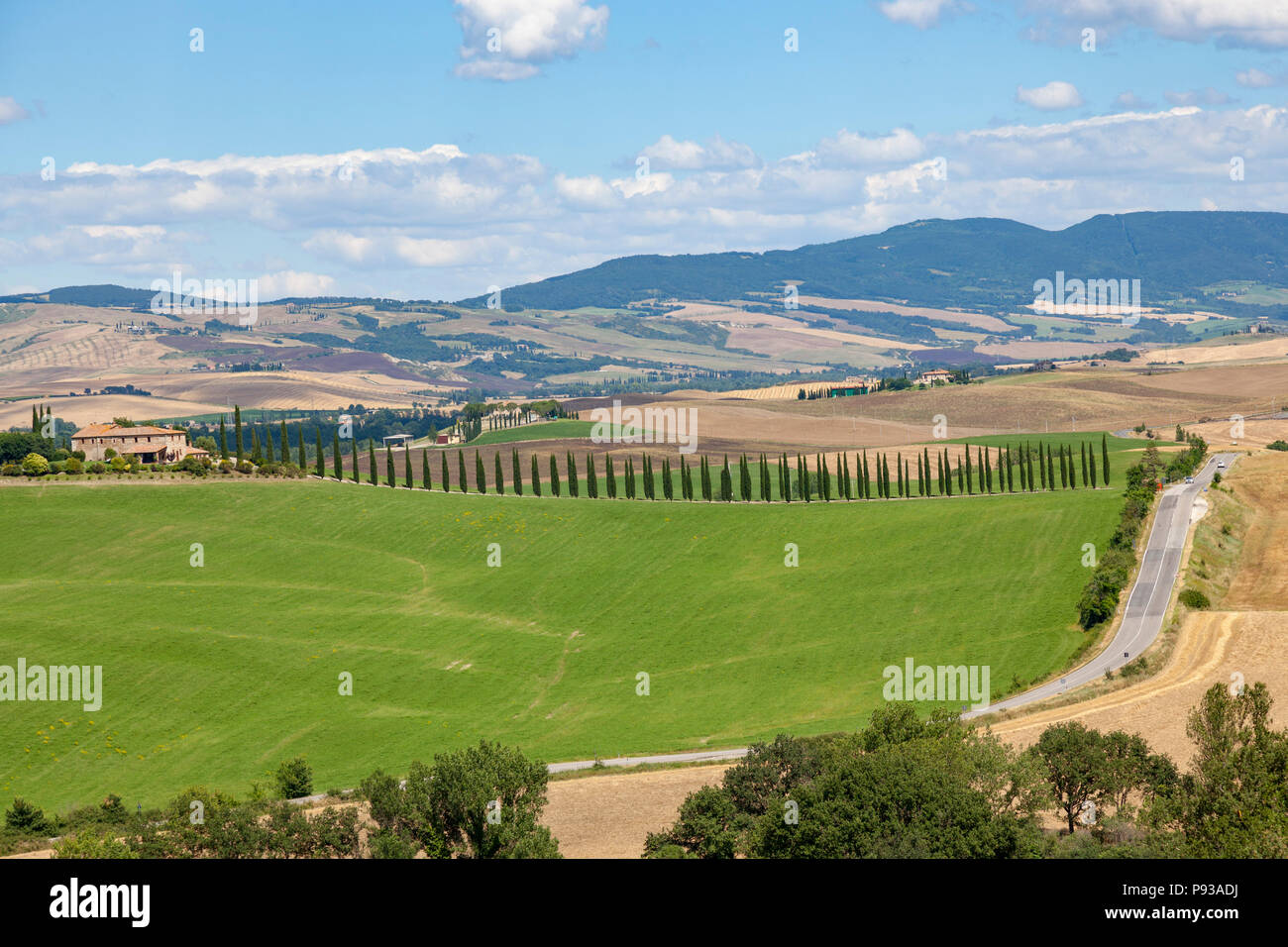 In the vicinity of the Bagno Vignoni (Tuscany - Italy), a perfect alignment of cypresses leading to a property. A proximité du Bain Vignoni (Toscane - Stock Photo