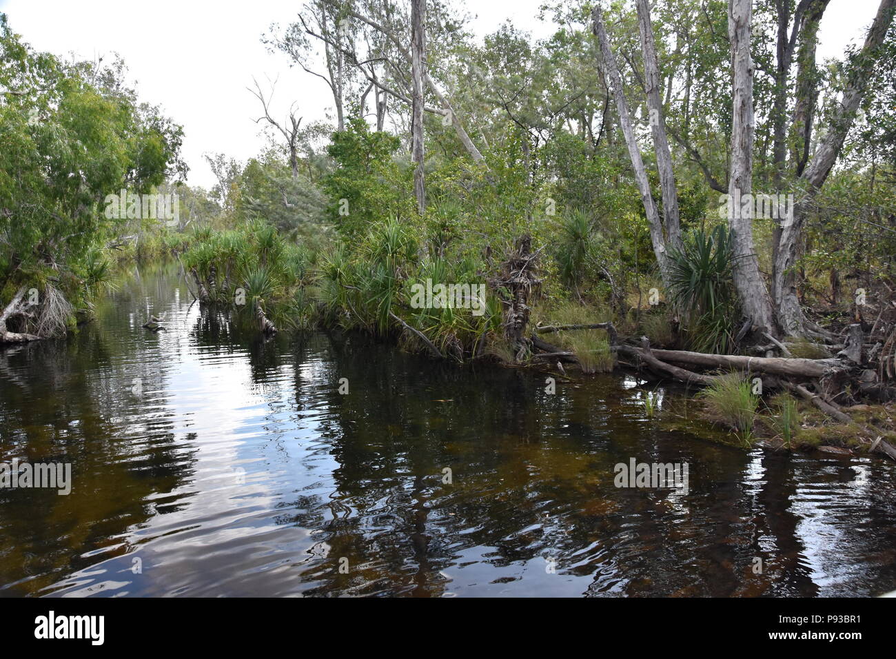 River flows through the bush in Nitmiluk National Park, Australia. Stock Photo