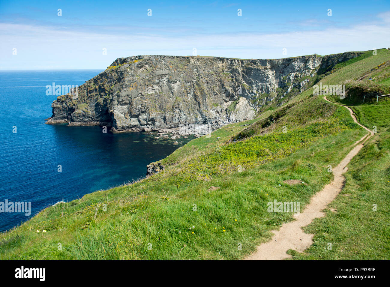 The South West Coast Path near Boscastle in Cornwall, England, UK Stock Photo