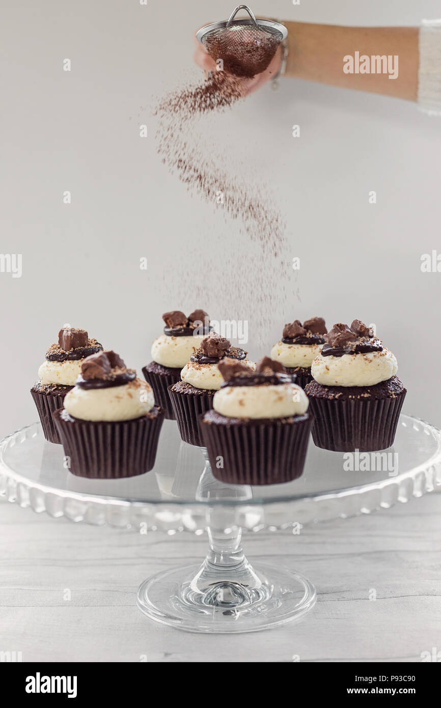 Chocolate and vanilla cup cakes Stock Photo