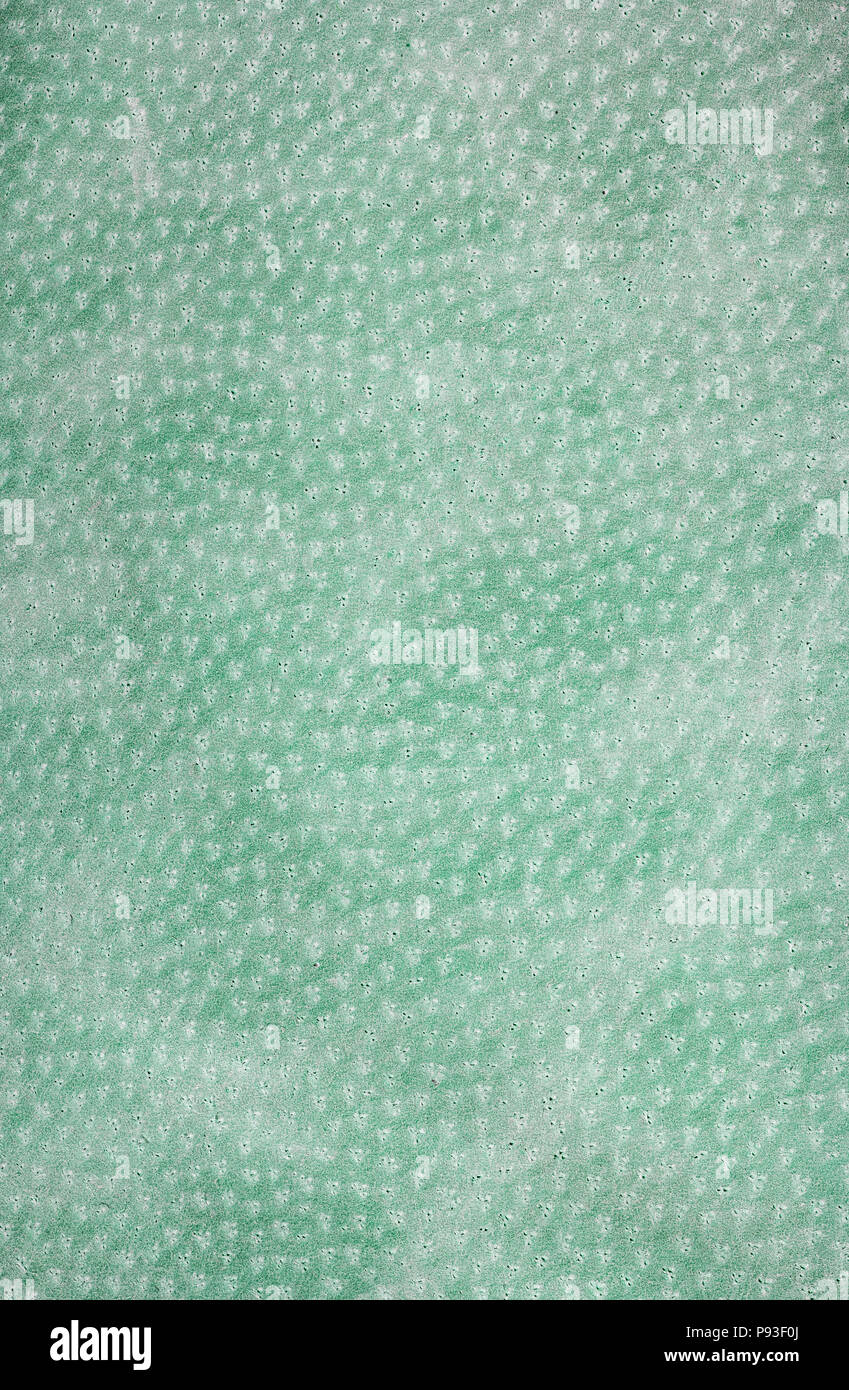 Green leather texture.  Vertical, close up Stock Photo