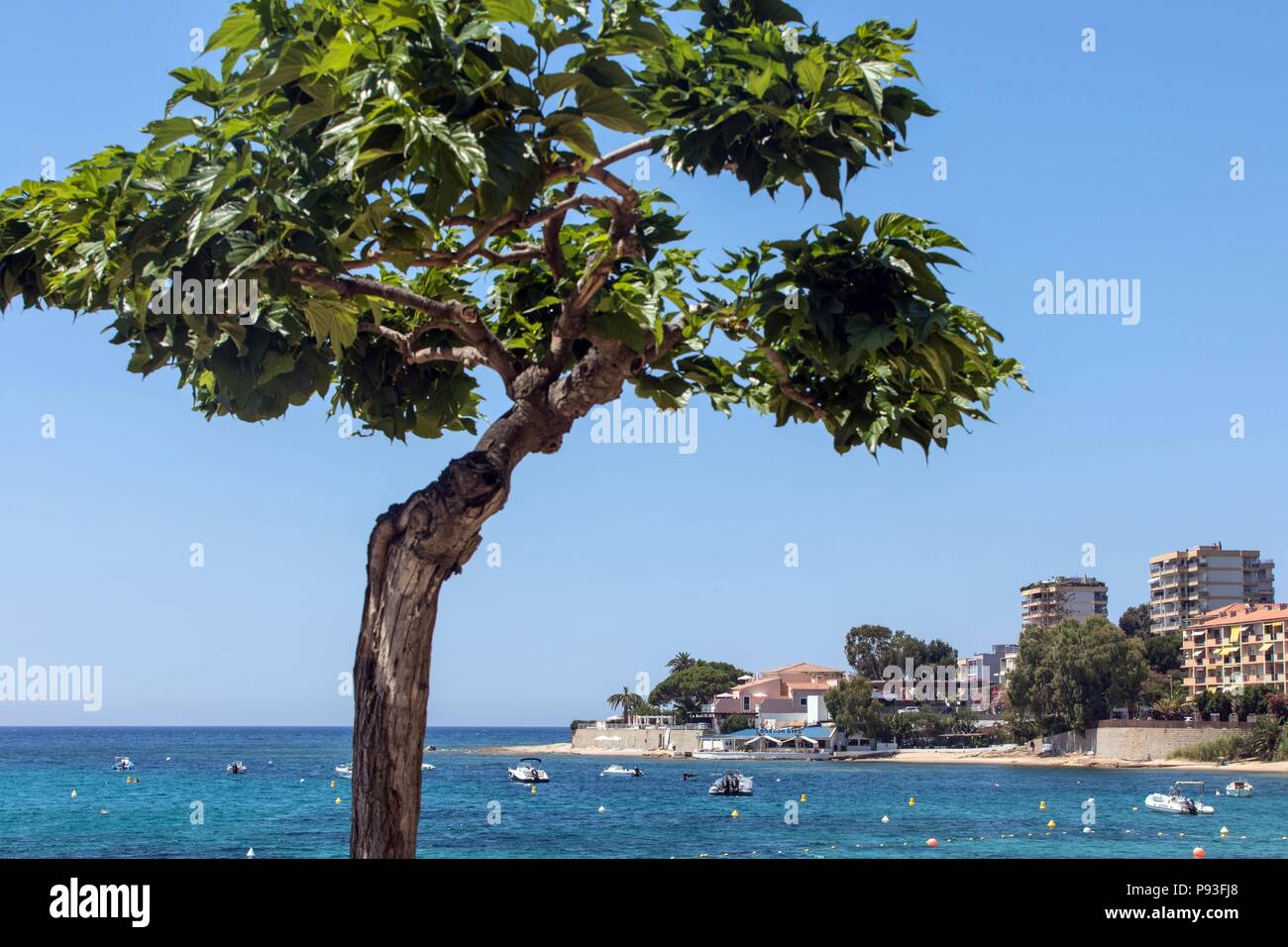 Trottel Beach Stock Photos Trottel Beach Stock Images Alamy