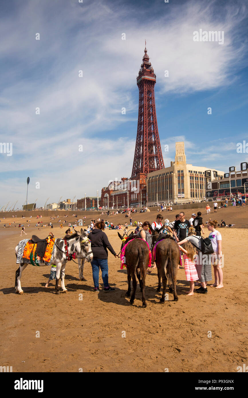 UK, England, Lancashire, Blackpool, donkeys on beach below Blackpool Tower giving children rides Stock Photo