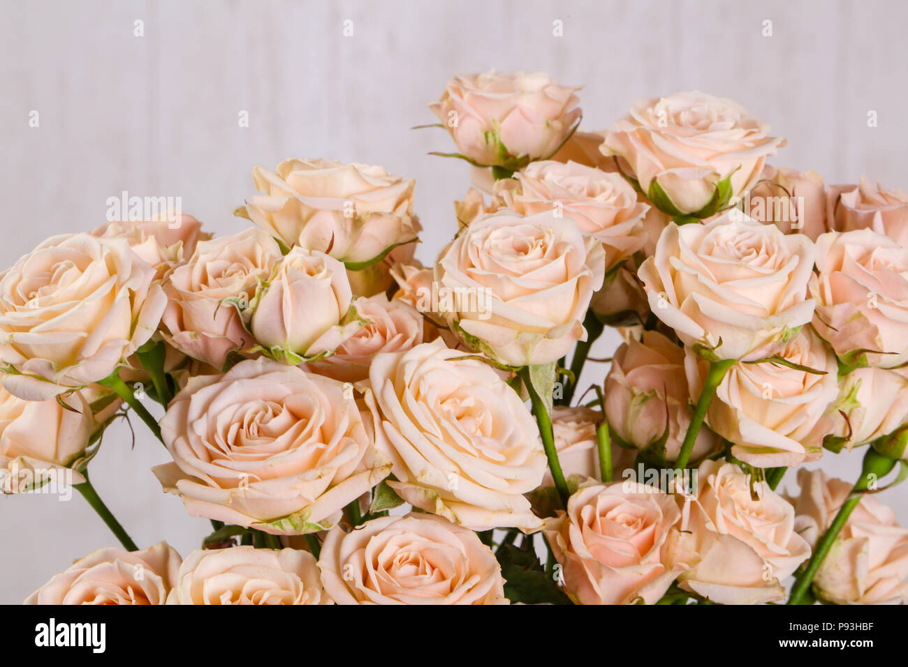 Pink roses bouquet isolated on white background Stock Photo - Alamy