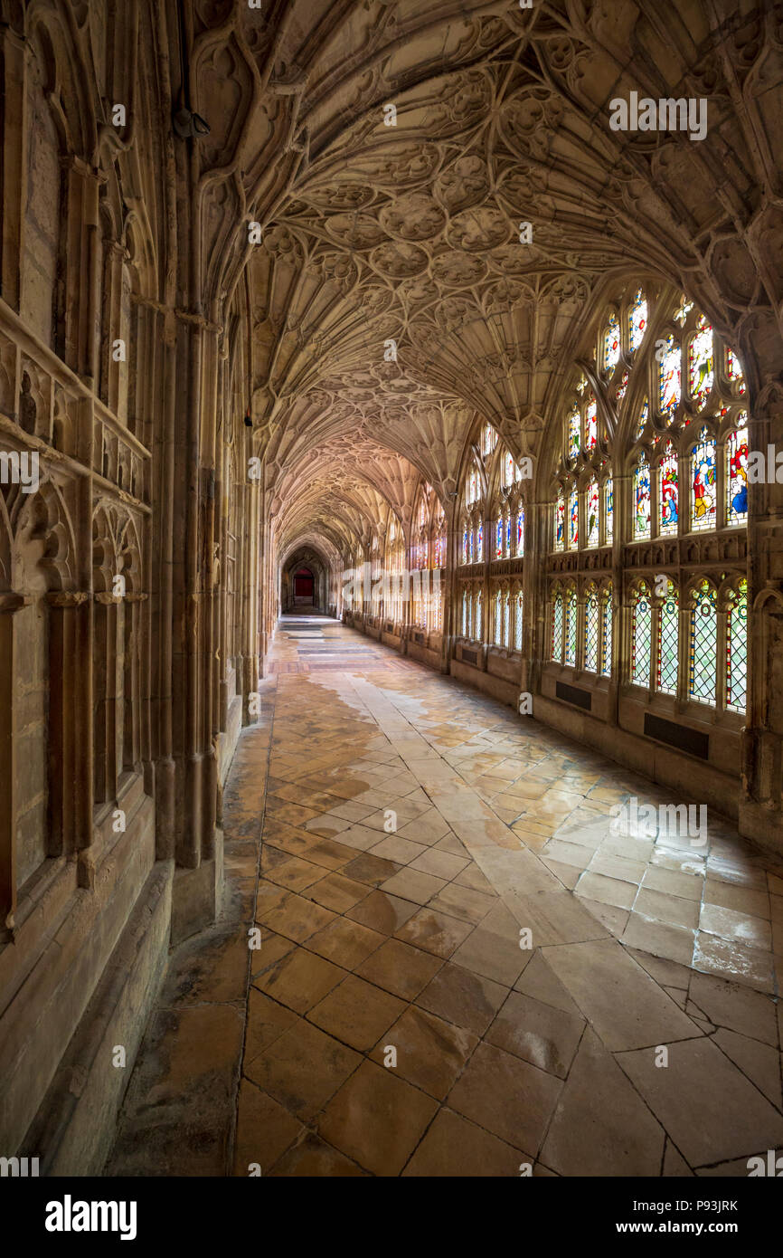 The vaulted ceiling and stained glass windows of the Cloisters at Gloucester Cathedral, England Stock Photo