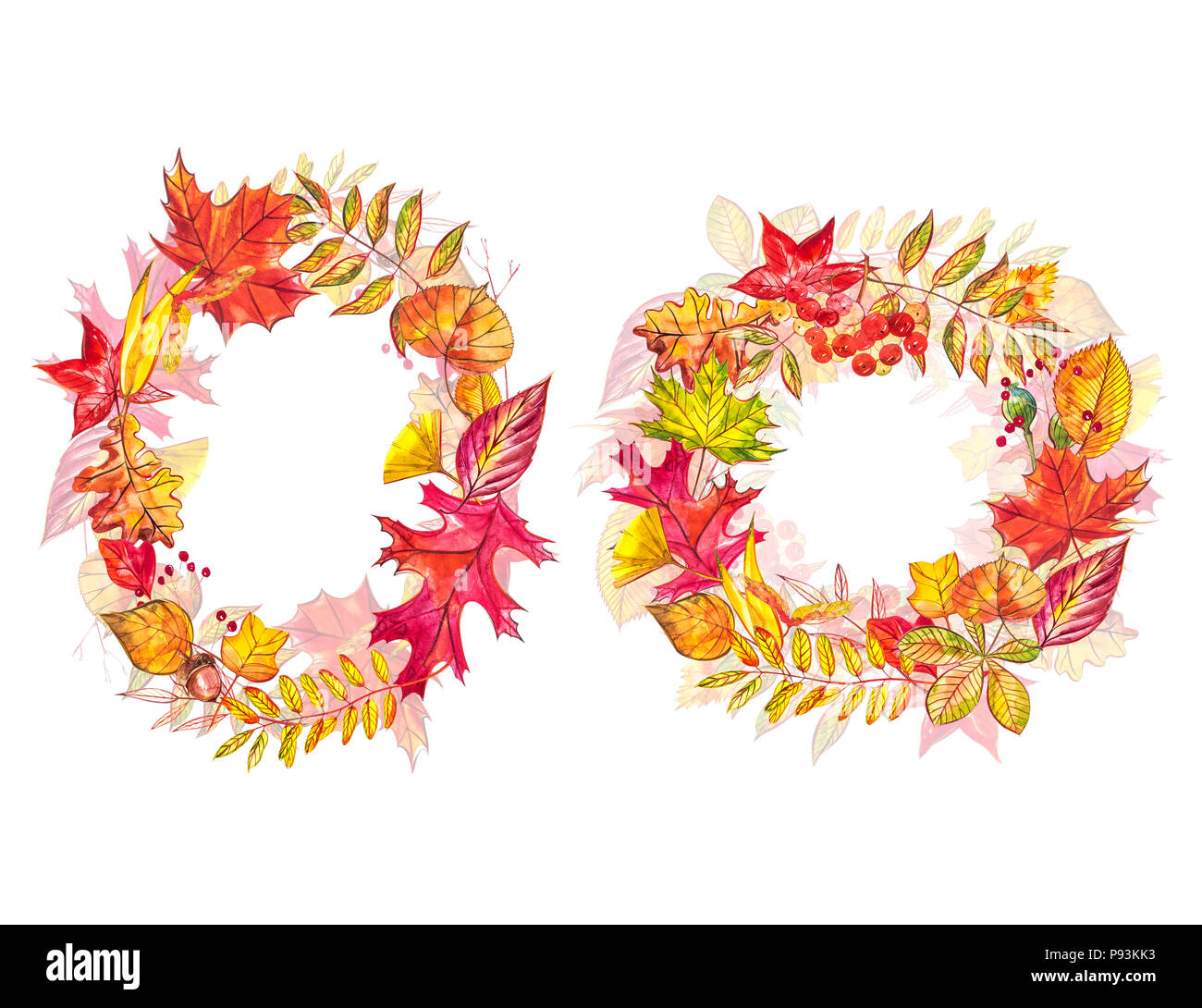 Autumn composition. Wreath made of autumn berries and leaves on white ...