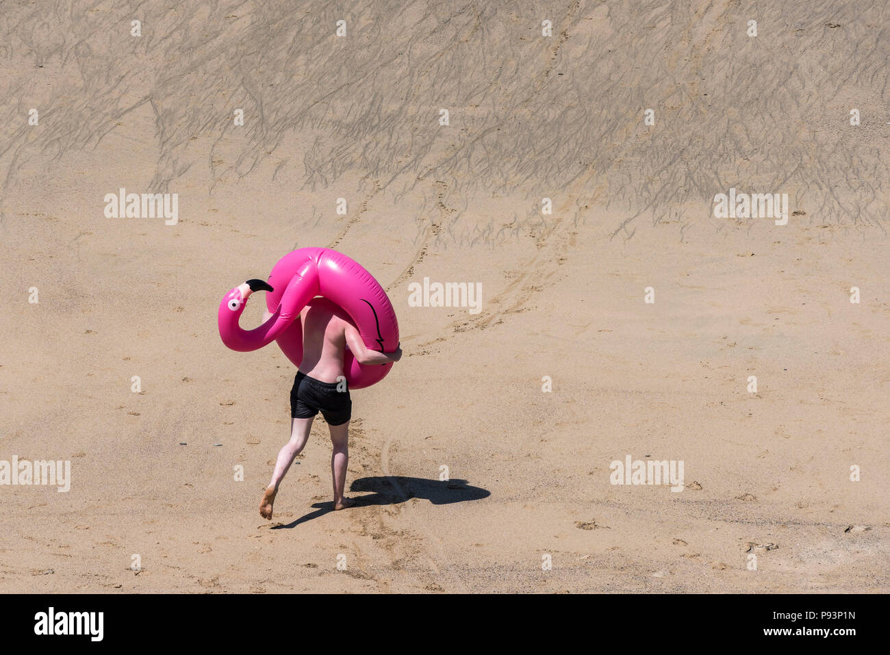 A holidaymaker carrying a bright pink inflatable flamingo on a beach in Newquay in Cornwall. Stock Photo