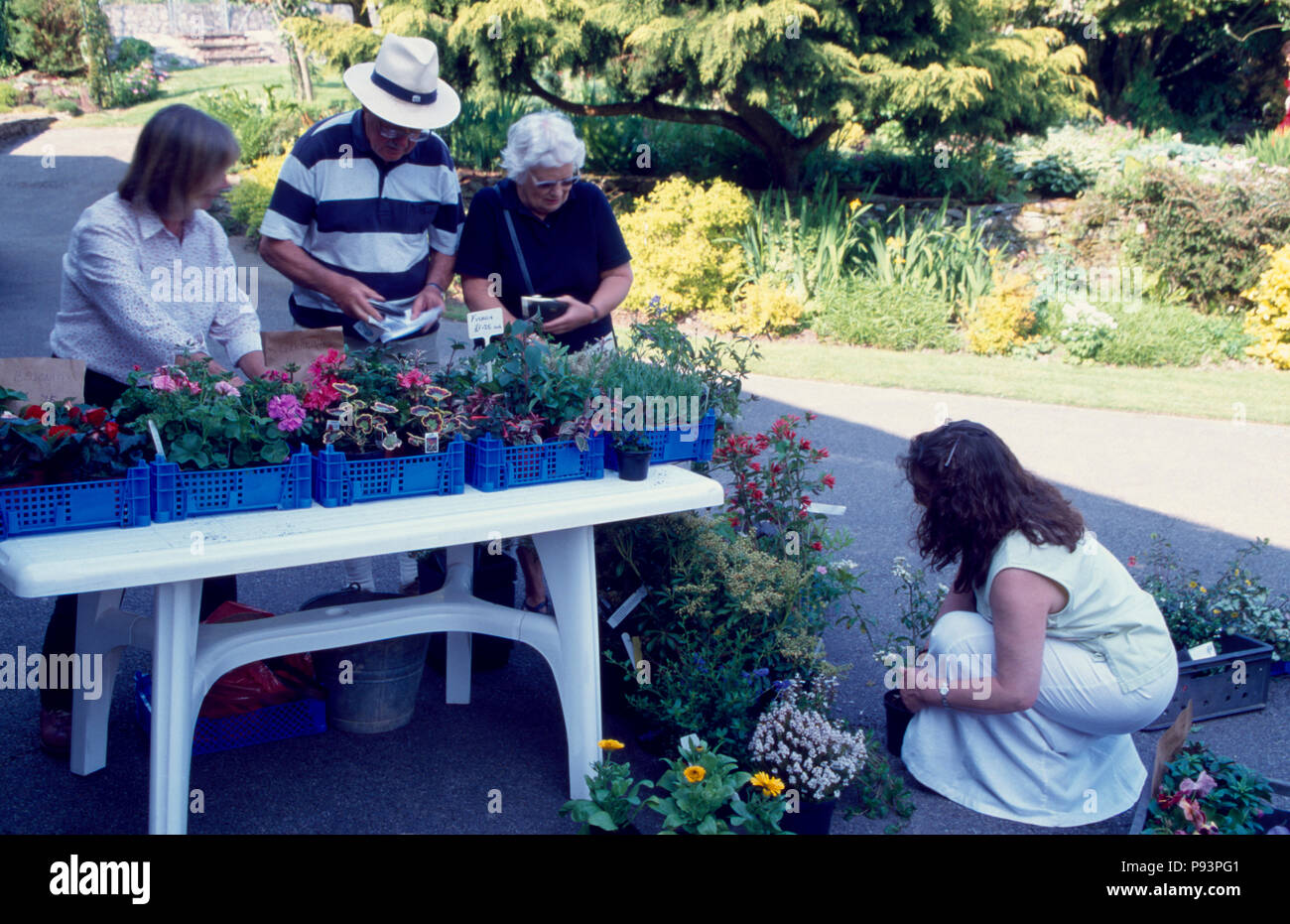 People at a roadside plant sale         FOR EDITORIAL USE ONLY Stock Photo