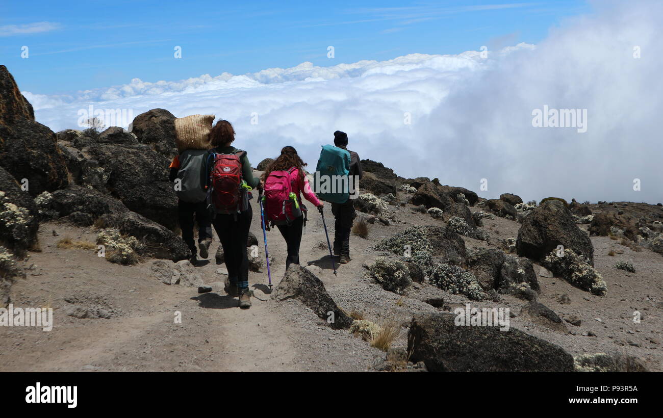 Men with trekking poles hi-res stock photography and images - Alamy
