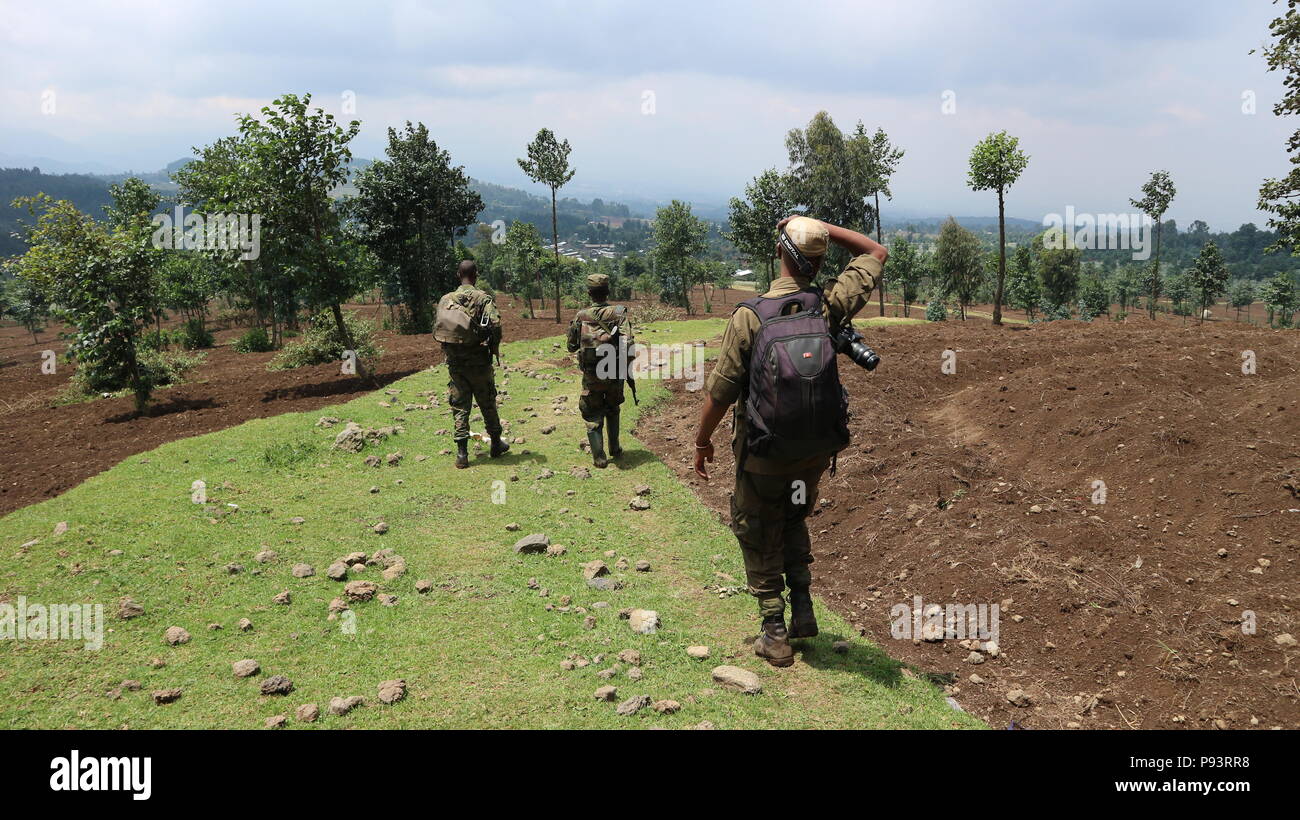 Kinigi Virunga National Park guide and two guards walking through a field ...