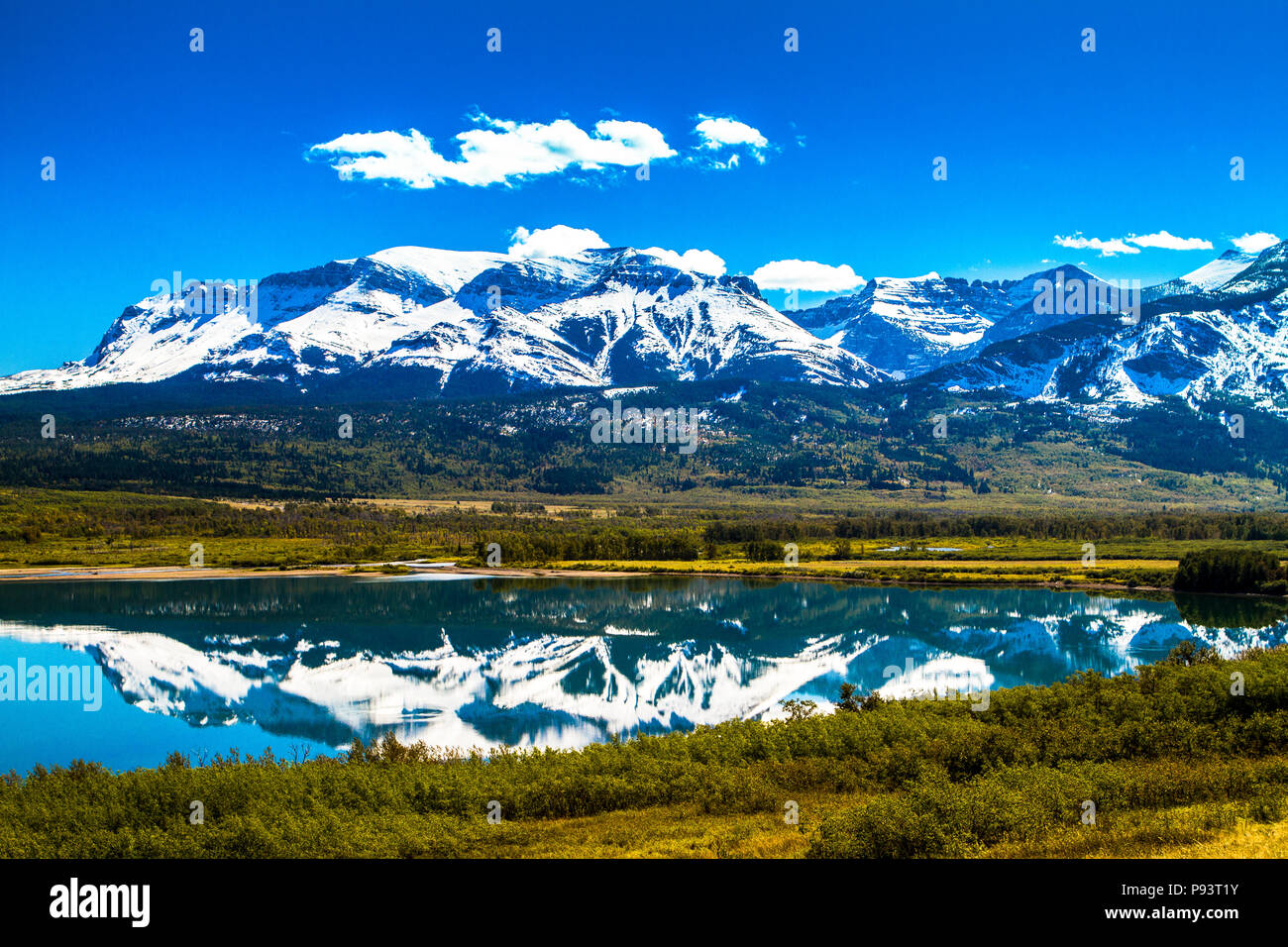 Waterton Mountain Vimy Ridge. Waterton National Park, ALberta, Canada
