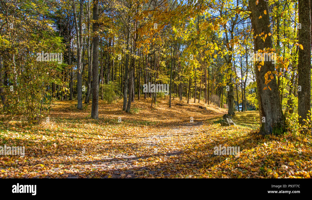 Colorfull park in autumn time. Lithuania. Trakai Stock Photo